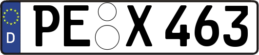 PE-X463