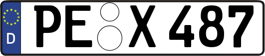 PE-X487