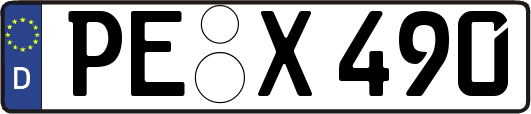 PE-X490
