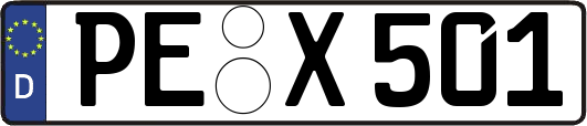 PE-X501