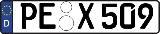 PE-X509