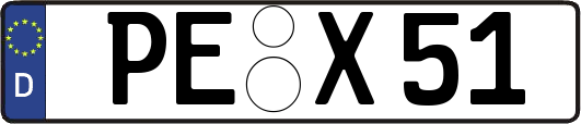 PE-X51