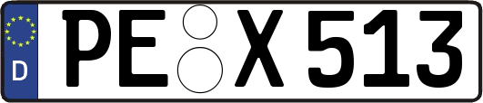 PE-X513