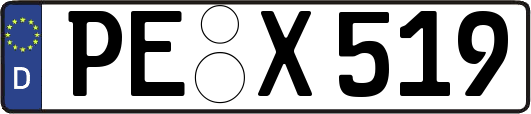 PE-X519