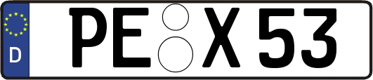 PE-X53