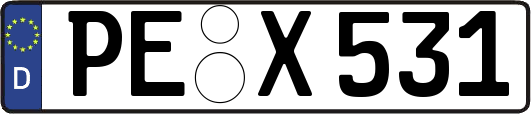 PE-X531