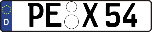 PE-X54