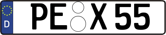 PE-X55