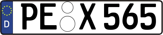PE-X565