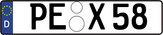 PE-X58