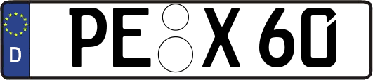 PE-X60