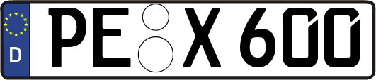 PE-X600