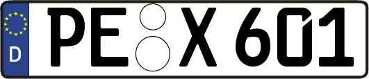 PE-X601