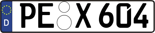 PE-X604