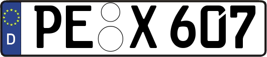 PE-X607