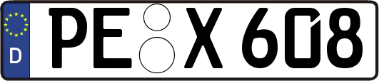 PE-X608