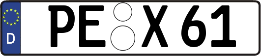 PE-X61