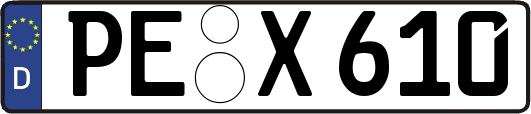 PE-X610