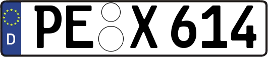 PE-X614