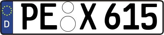 PE-X615