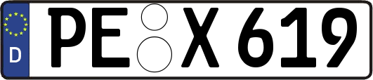 PE-X619