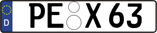 PE-X63
