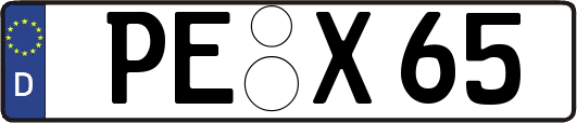 PE-X65