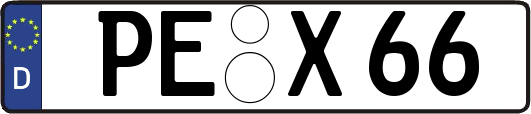 PE-X66