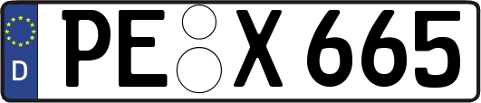 PE-X665
