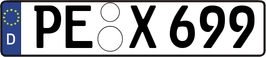 PE-X699