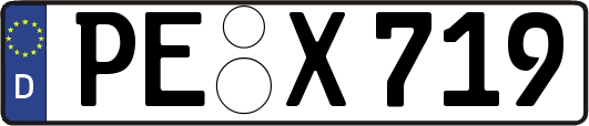 PE-X719