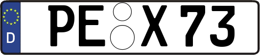 PE-X73