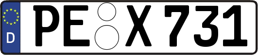 PE-X731