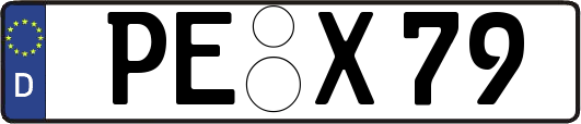 PE-X79