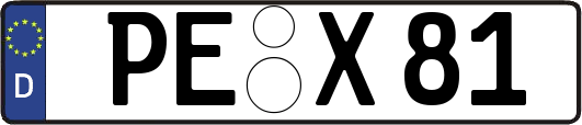 PE-X81