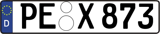 PE-X873