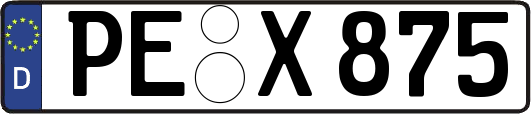 PE-X875