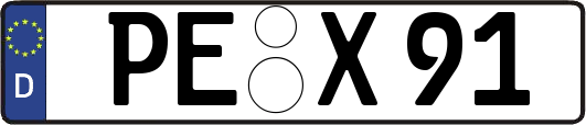 PE-X91