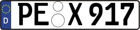 PE-X917