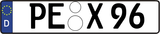 PE-X96