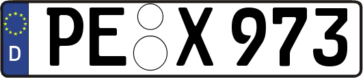 PE-X973
