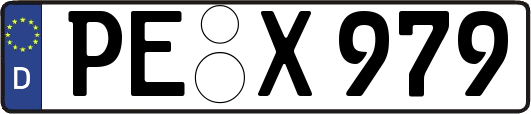 PE-X979