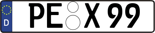 PE-X99