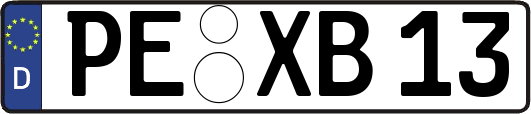 PE-XB13