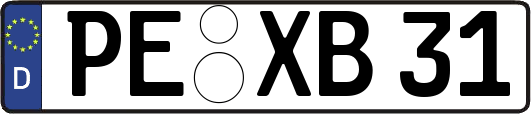 PE-XB31