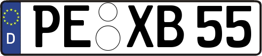 PE-XB55