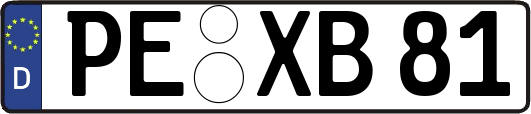PE-XB81