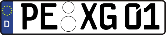 PE-XG01