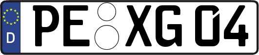 PE-XG04
