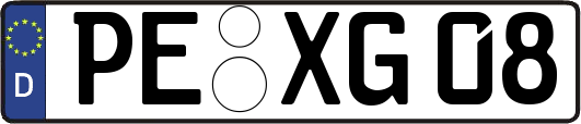 PE-XG08